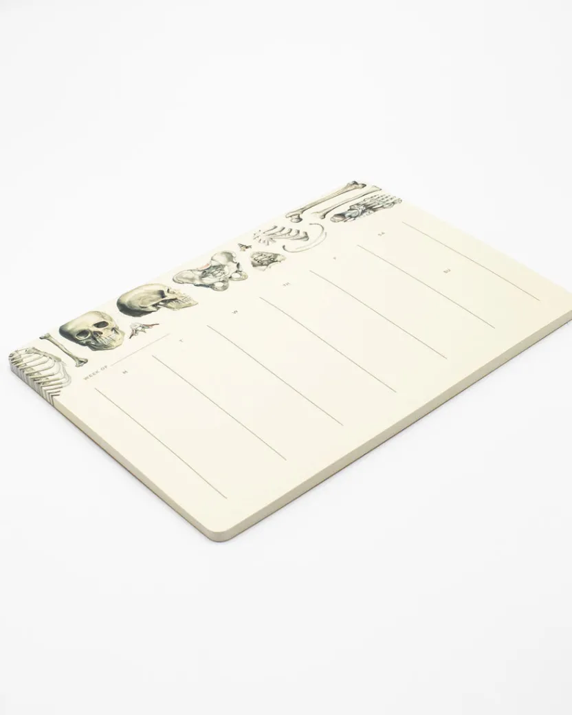 Cognitive Surplus Skeleton Notepads - Vintage Medicine Pad | * Notepads | Medicine