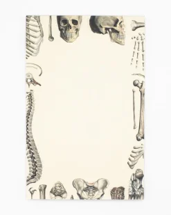 Cognitive Surplus Skeleton Notepads - Vintage Medicine Pad | * Notepads | Medicine