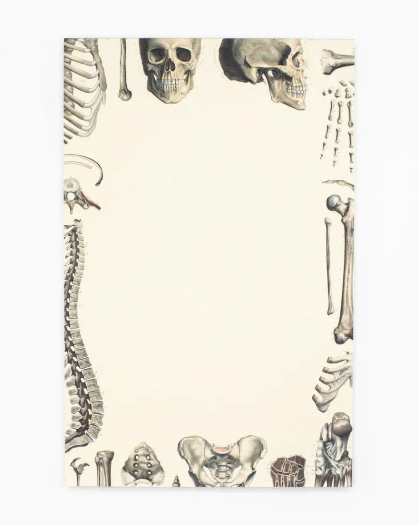 Cognitive Surplus Skeleton Notepads - Vintage Medicine Pad | * Notepads | Medicine