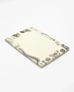 Cognitive Surplus Skeleton Notepads - Vintage Medicine Pad | * Notepads | Medicine