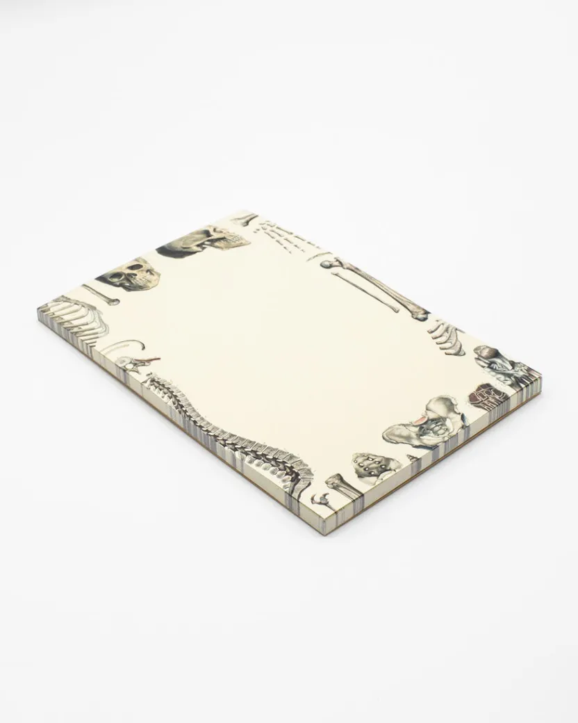 Cognitive Surplus Skeleton Notepads - Vintage Medicine Pad | * Notepads | Medicine