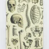 Cognitive Surplus Skeleton Pl 2 Hardcover Notebook - Dot Grid* The Hypothesis | Medicine