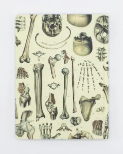 Cognitive Surplus Skeleton Pl 2 Hardcover Notebook - Dot Grid* The Hypothesis | Medicine