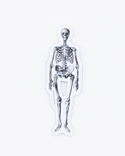 Cognitive Surplus Skeleton Sticker* Stickers | Medicine