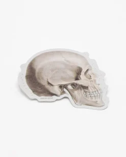 Cognitive Surplus Skull Profile Sticker* Stickers | Medicine