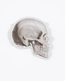 Cognitive Surplus Skull Profile Sticker* Stickers | Medicine