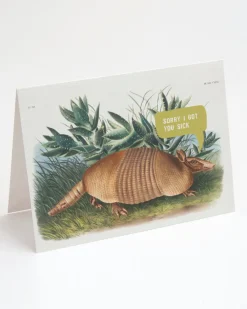 Cognitive Surplus Sorry Armadillo Card - Apology Card | * Greeting Cards | Biology