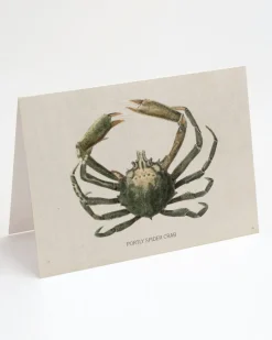 Cognitive Surplus Spider Crab Greeting Card - Ocean Card | * Greeting Cards | Marine Biology