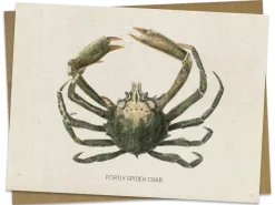Cognitive Surplus Spider Crab Greeting Card - Ocean Card | * Greeting Cards | Marine Biology