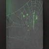 Cognitive Surplus Spiders & Webs Dark Matter Notebook* Black Paper Notebooks | The Dark Matter