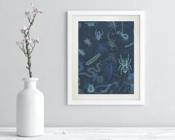 Cognitive Surplus Spiders Scientific Illustration Museum Print* Wall Art | Entomology