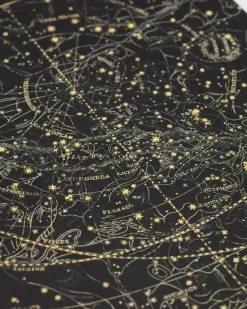 Cognitive Surplus Star Chart Night Sky Softcover Notebook* The Experiment | Astronomy
