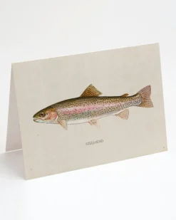 Cognitive Surplus Steelhead Trout Greeting Card - Fisherman Card | * Greeting Cards