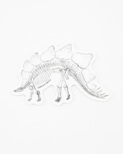 Cognitive Surplus Stegosaurus Skeleton Sticker* Stickers | Paleontology