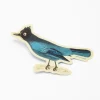 Cognitive Surplus Stellar Jay Sticker* Stickers | Ornithology