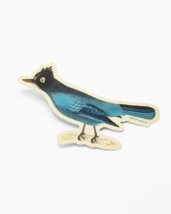 Cognitive Surplus Stellar Jay Sticker* Stickers | Ornithology