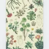 Cognitive Surplus Succulents Hardcover - Blank* The Theory | Botany