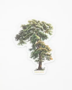 Cognitive Surplus Tall Tree Sticker* Stickers | Botany