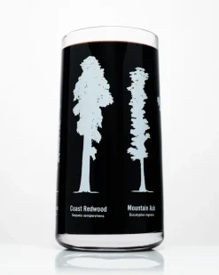 Cognitive Surplus Tall Trees Drinking Glass | * Drinking Glasses | Botany