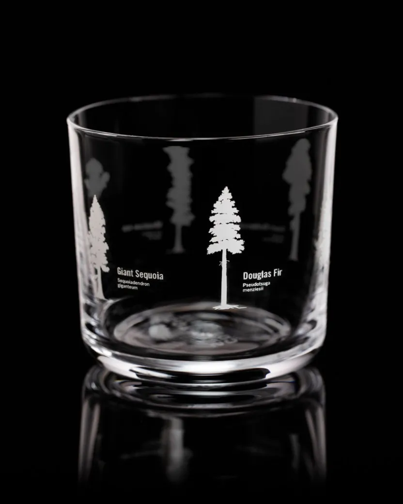 Cognitive Surplus Tall Trees Whiskey Glass - Scotch Glass | * Rocks Glasses | Botany