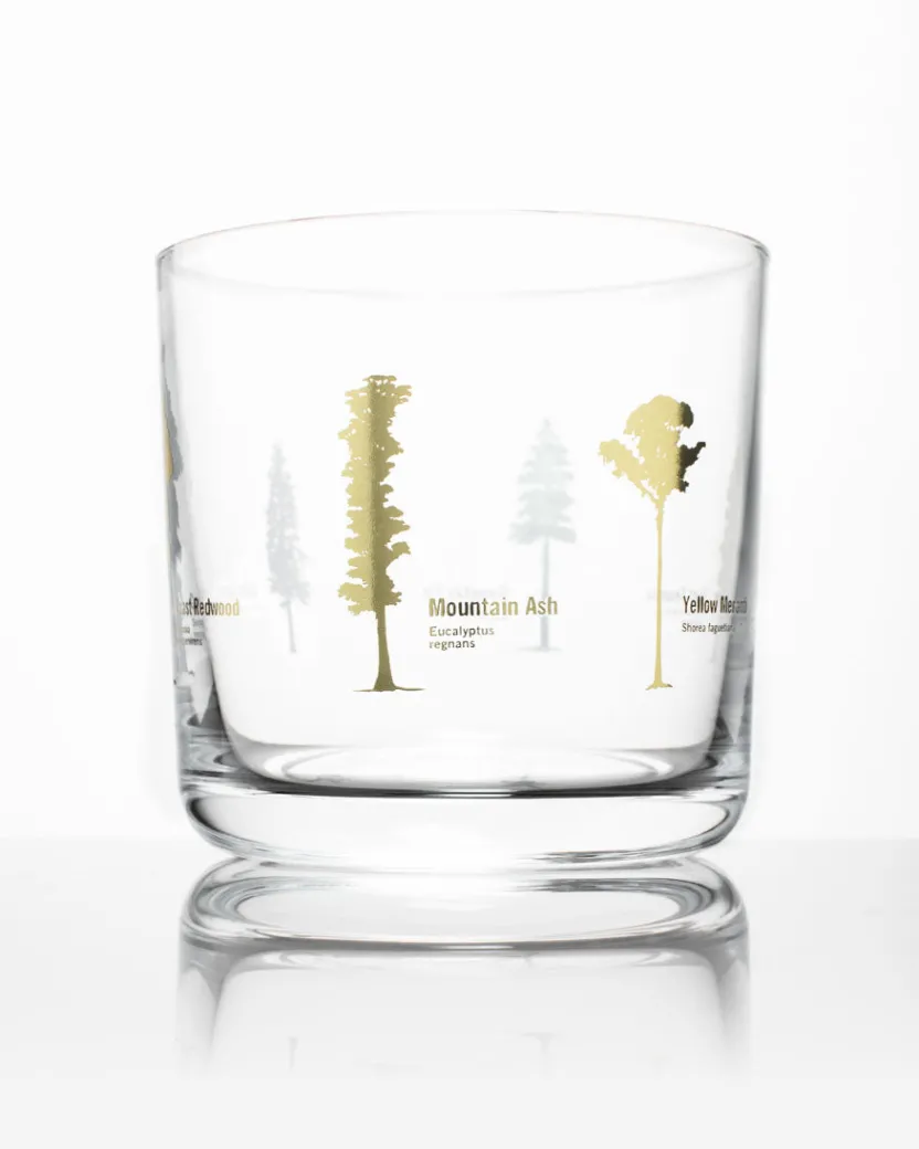 Cognitive Surplus Tall Trees Whiskey Glass - Scotch Glass | * Rocks Glasses | Botany