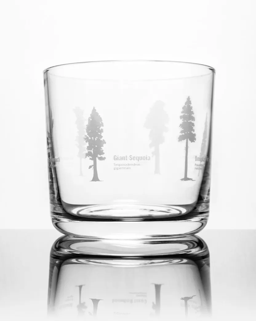 Cognitive Surplus Tall Trees Whiskey Glass - Scotch Glass | * Rocks Glasses | Botany