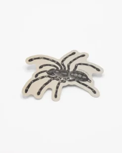 Cognitive Surplus Tarantula Spider Sticker* Stickers | Entomology