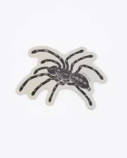 Cognitive Surplus Tarantula Spider Sticker* Stickers | Entomology