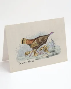 Cognitive Surplus Thanks, Mom! Turkey Card - Mother's Day Card | * Greeting Cards | Biology