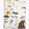 Cognitive Surplus Theory of Evolution Softcover Notebook | Charles Darwin* The Experiment | Ornithology