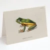 Cognitive Surplus Tree Frog Greeting Card - Biology Stationery | * Greeting Cards | Biology