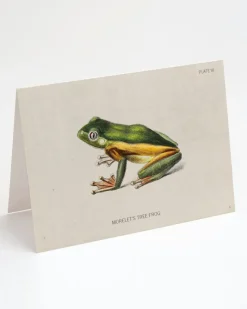 Cognitive Surplus Tree Frog Greeting Card - Biology Stationery | * Greeting Cards | Biology