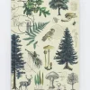 Cognitive Surplus Tree Notebook - Hardcover | Hiking Journal* The Hypothesis | Botany