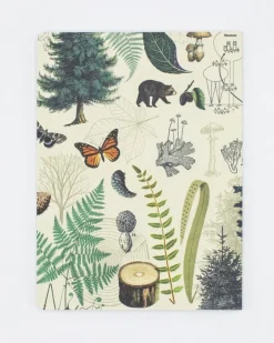 Cognitive Surplus Tree Notebook - Softcover | Hiking Journal* The Experiment | Botany
