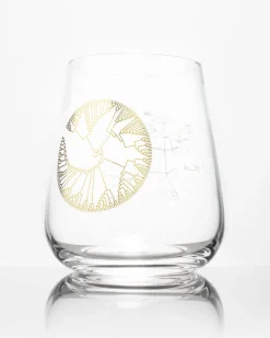 Cognitive Surplus Tree of Life Wine Glass - Evolution | * Wine Glasses | Biology