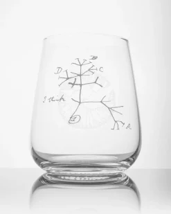 Cognitive Surplus Tree of Life Wine Glass - Evolution | * Wine Glasses | Biology