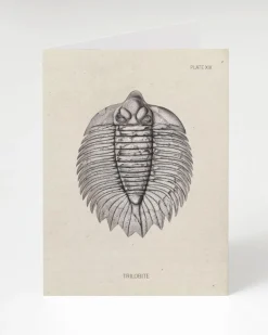 Cognitive Surplus Trilobite Fossil Card - Paleontology Greeting Card | * Greeting Cards | Paleontology