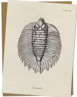 Cognitive Surplus Trilobite Fossil Card - Paleontology Greeting Card | * Greeting Cards | Paleontology