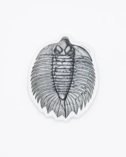 Cognitive Surplus Trilobite Fossil Sticker* Stickers | Paleontology
