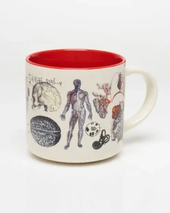 Cognitive Surplus Vascular Anatomy Mug - Nurse Mug | * Mugs | Medicine