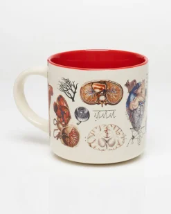 Cognitive Surplus Vascular Anatomy Mug - Nurse Mug | * Mugs | Medicine
