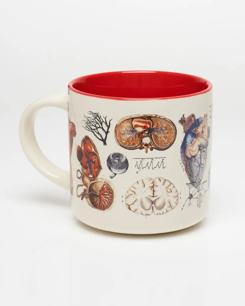 Cognitive Surplus Vascular Anatomy Mug - Nurse Mug | * Mugs | Medicine