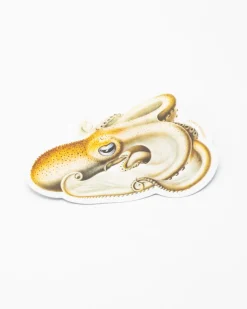 Cognitive Surplus Velondona Togata Octopus Sticker* Stickers | Marine Biology