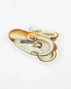 Cognitive Surplus Velondona Togata Octopus Sticker* Stickers | Marine Biology