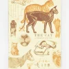 Cognitive Surplus Veterinarian Notebook - Feline Cat Hardcover | Vet Journal* The Hypothesis | Veterinary Science