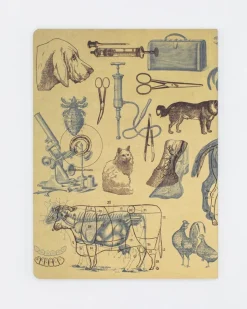 Cognitive Surplus Veterinarian Notebook - Softcover | Vet Journal* The Experiment | Veterinary Science