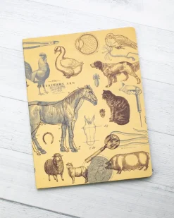 Cognitive Surplus Veterinarian Notebook - Softcover | Vet Journal* The Experiment | Veterinary Science