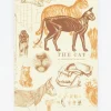 Cognitive Surplus Veterinary Science: Cats Softcover Notebook | * The Experiment | Veterinary Science