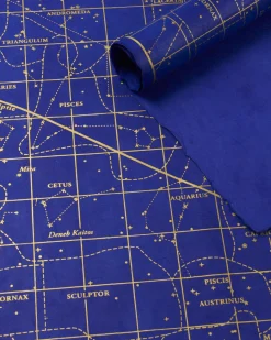 Cognitive Surplus Vintage Star Chart Wrapping Paper* Wrapping Paper | Astronomy