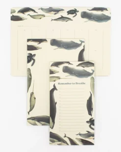 Cognitive Surplus Whale Notepads - Ocean Market Pad | * Notepads | Ornithology
